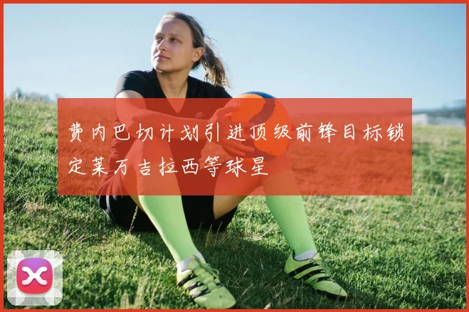 费内巴切计划引进顶级前锋目标锁定莱万吉拉西等球星