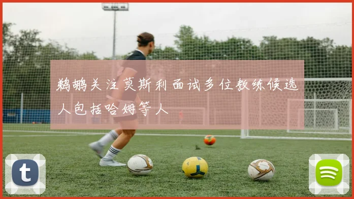 鹈鹕关注莫斯利面试多位教练候选人包括哈姆等人